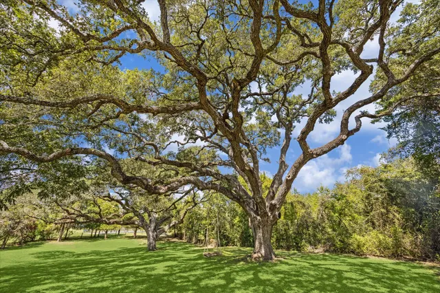 a backyard of a house with lots of green space