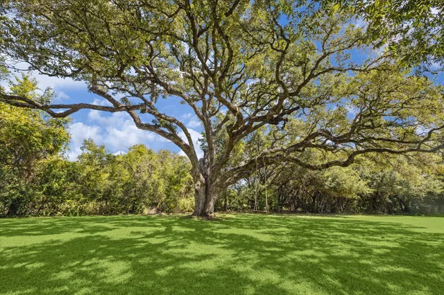 a backyard of a house with lots of green space