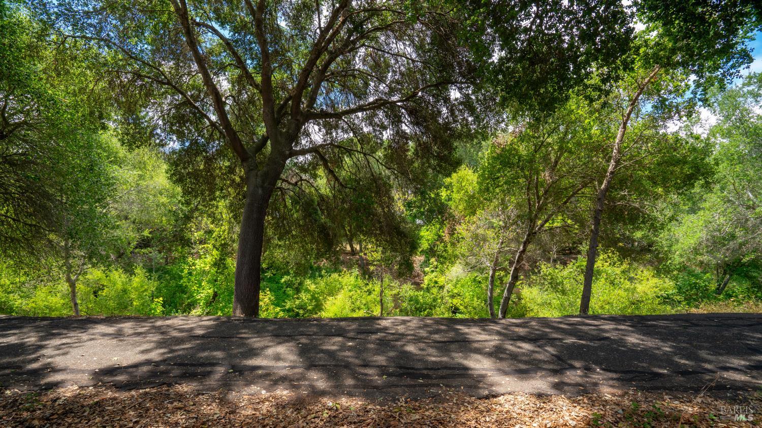 2344 Gads Hill Street Santa Rosa, CA 95401 - Photo 26 of 42