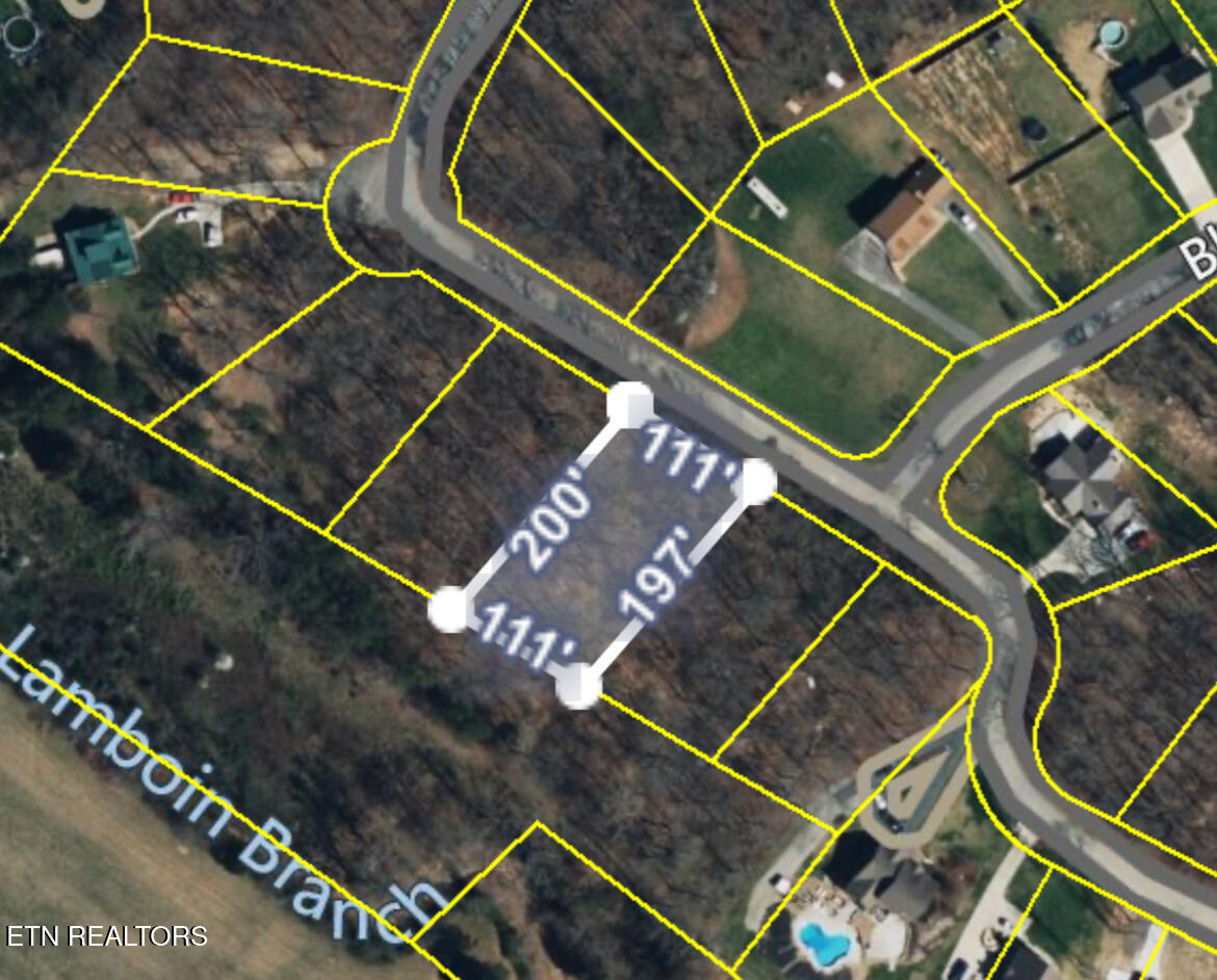 Lot 48 Cherokee Cove Estates Rutledge, TN 37861 - Photo 2 of 4 IMG_0256