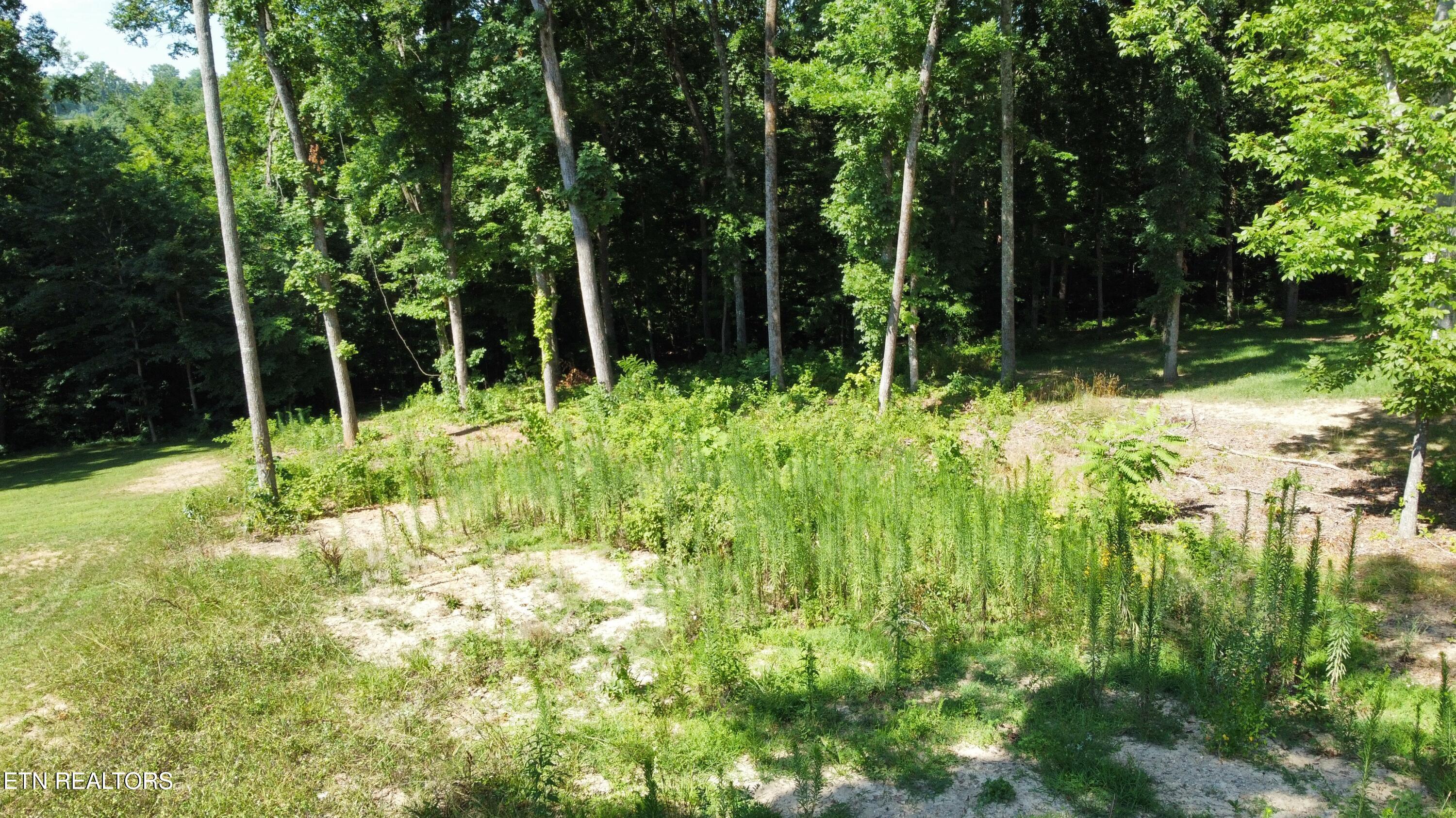Lot 48 Cherokee Cove Estates Rutledge, TN 37861 - Photo 3 of 4 dji_fly_20250714_105444_955_175250492218