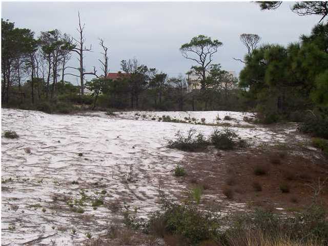 5321 Cape San Blas Road Port St. Joe, FL 32456 - Photo 1 of 1
