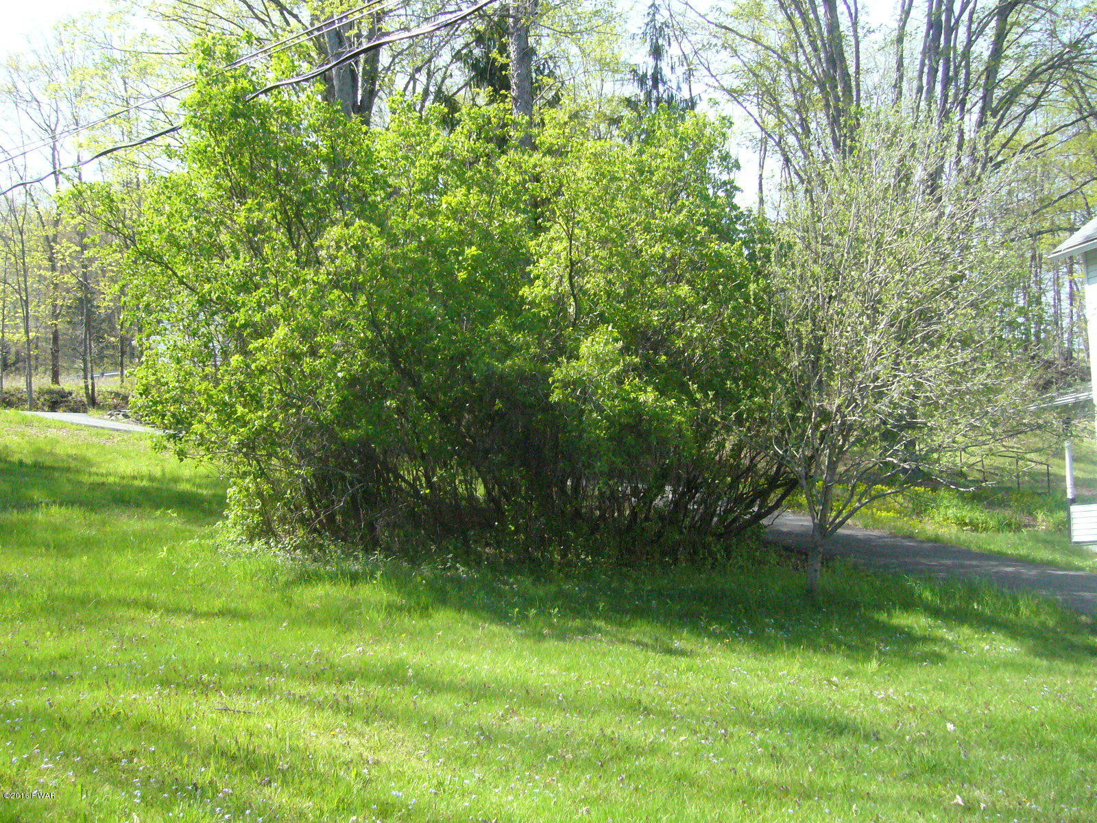 1736 O O&W Road Starlight, PA 18461 - Photo 20 of 41