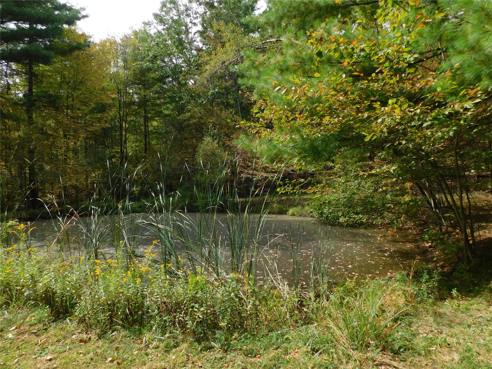 459 Anne Road Windsor, NY 13865 - Photo 25 of 32