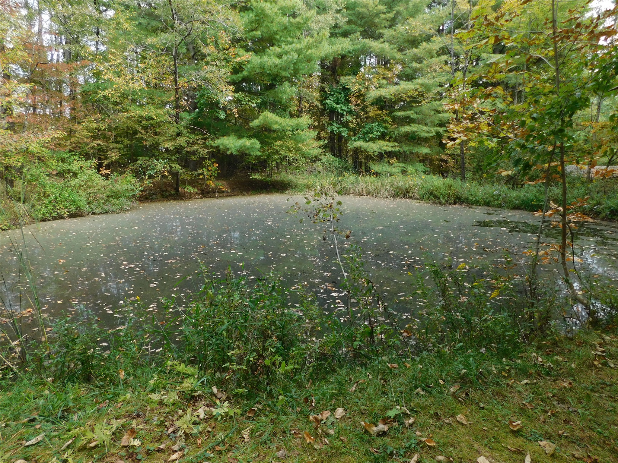 459 Anne Road Windsor, NY 13865 - Photo 26 of 32