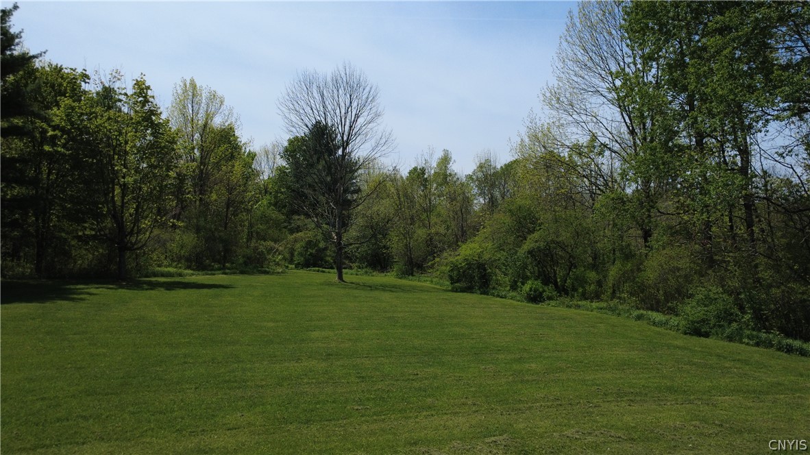 0 Brown Road Adams, NY 13605 - Photo 3 of 30