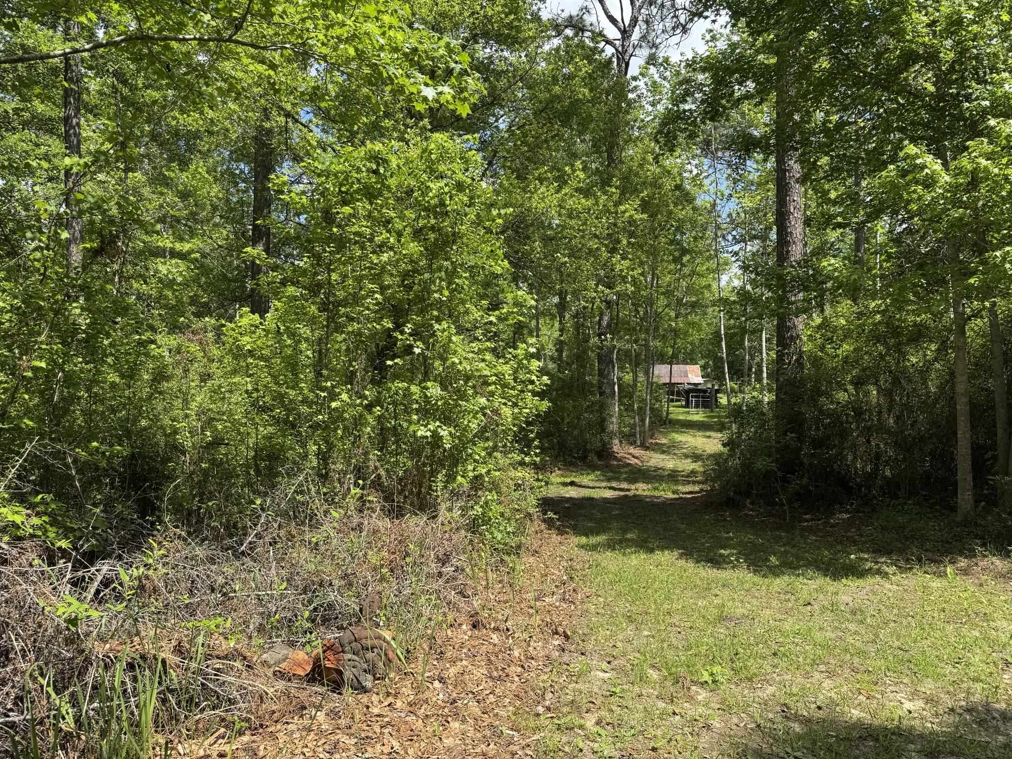 15760 Pine Grove Rd Extension West Bay Minette, AL 36507 - Photo 22 of 22 View
