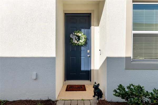 a living room with furniture or couch and a potted plant