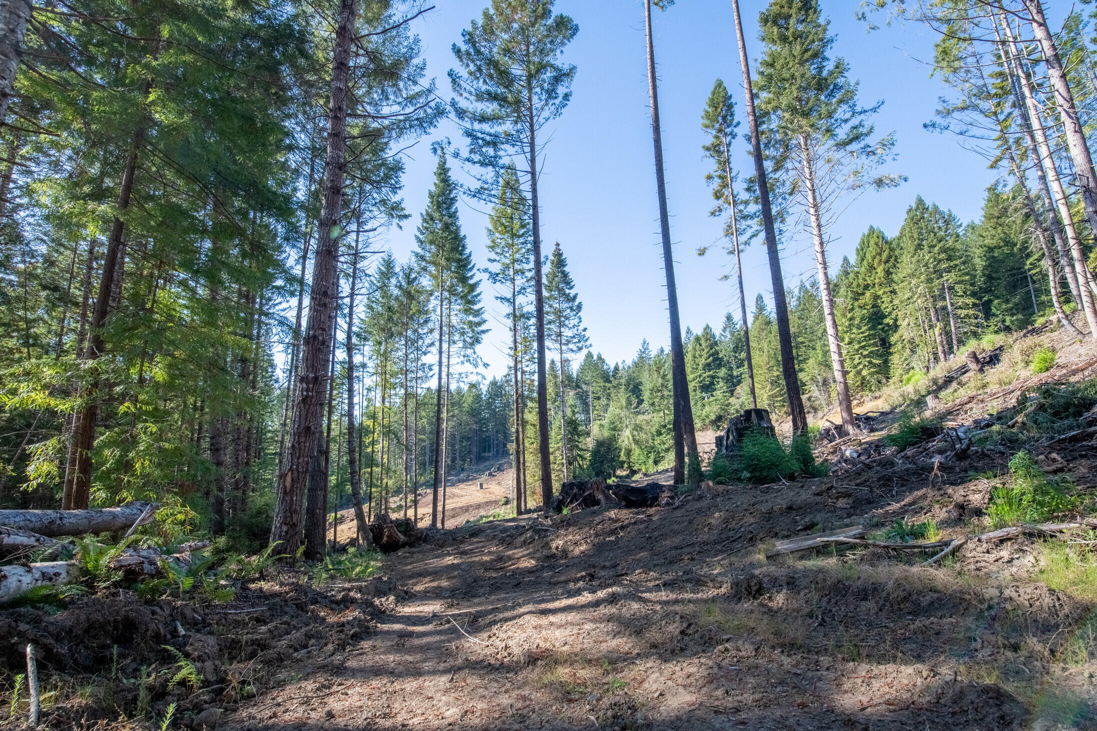 840 Cloudswood Road Fieldbrook, CA 95519 - Photo 8 of 22
