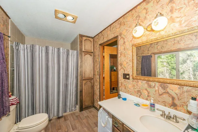 a bathroom with a sink a toilet and a mirror