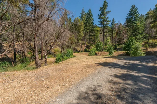 a view of road with trees