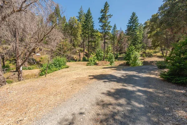 a view of a yard with a tree
