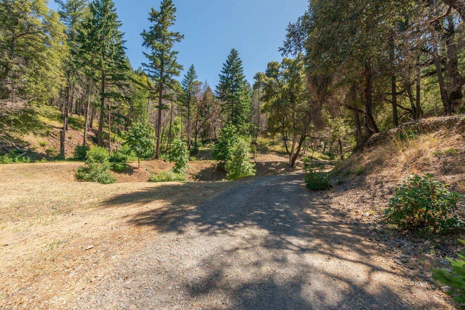 1004 Friedrich Road Burnt Ranch, CA 95527 - Photo 31 of 49 32_2097397_lg