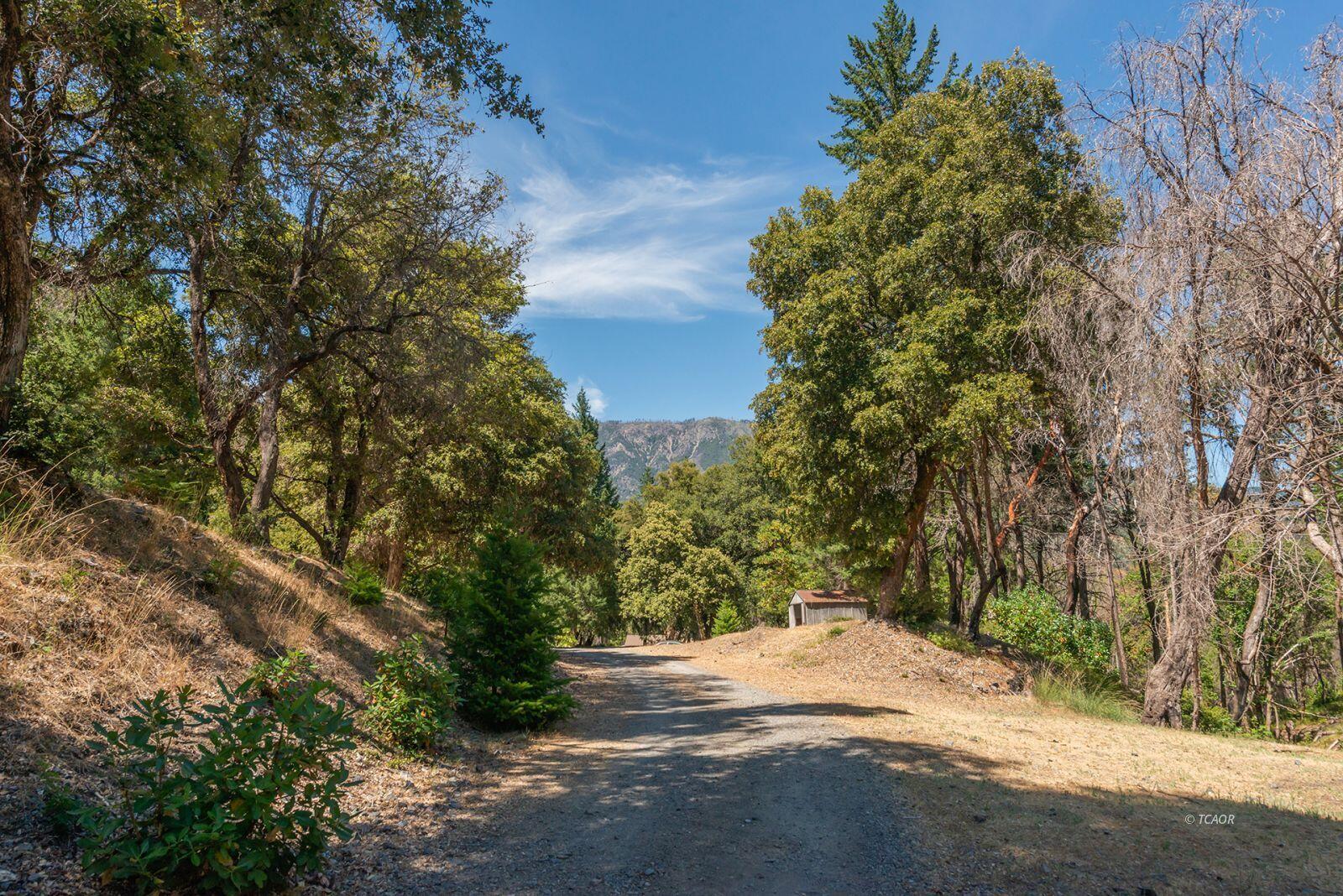 1004 Friedrich Road Burnt Ranch, CA 95527 - Photo 32 of 49 33_2097399_lg