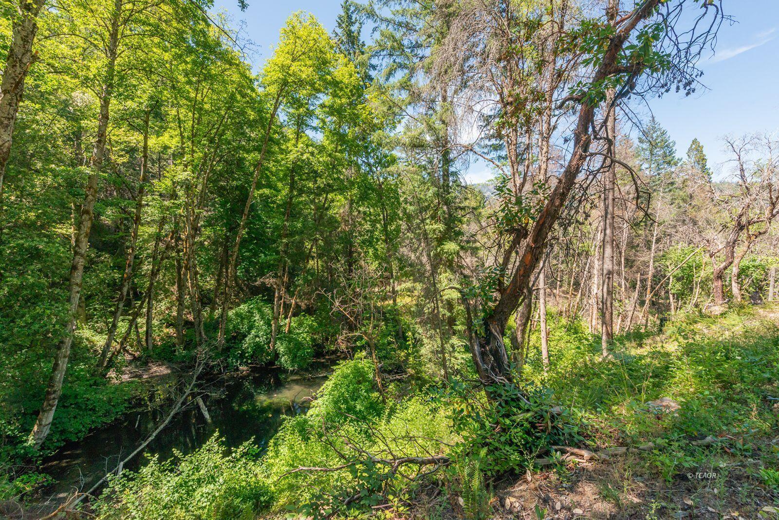 1004 Friedrich Road Burnt Ranch, CA 95527 - Photo 35 of 49 36_2097402_lg