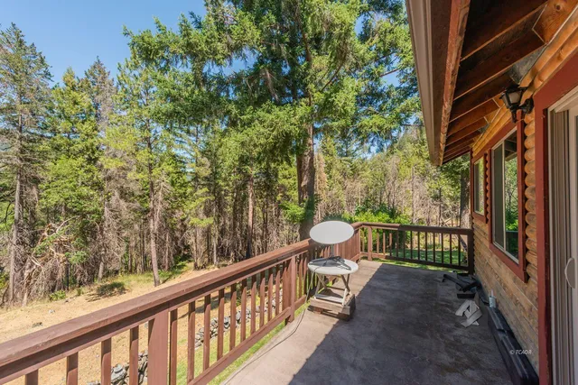 a view of a yard with plants and trees