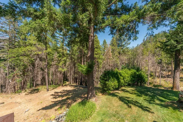 a house with trees in the background