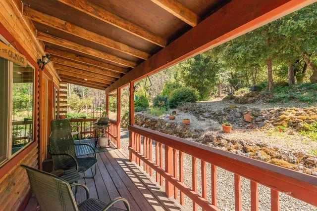 a view of a backyard with plants and a slide