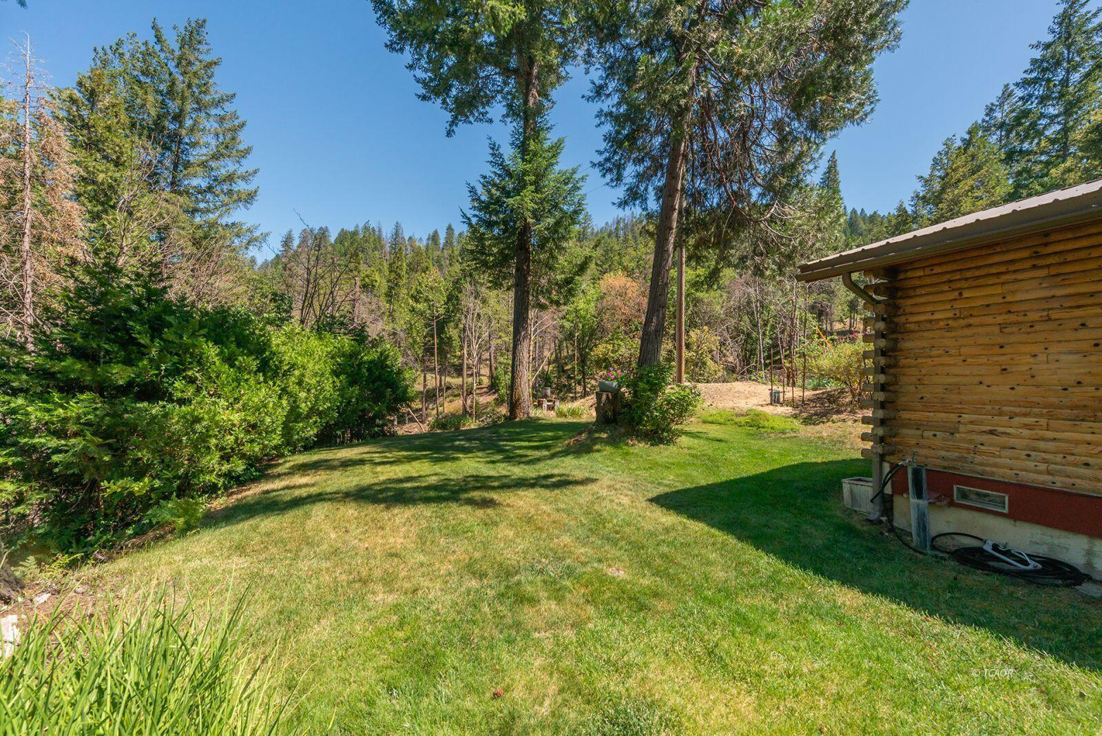 1004 Friedrich Road Burnt Ranch, CA 95527 - Photo 46 of 49 47_2097425_lg