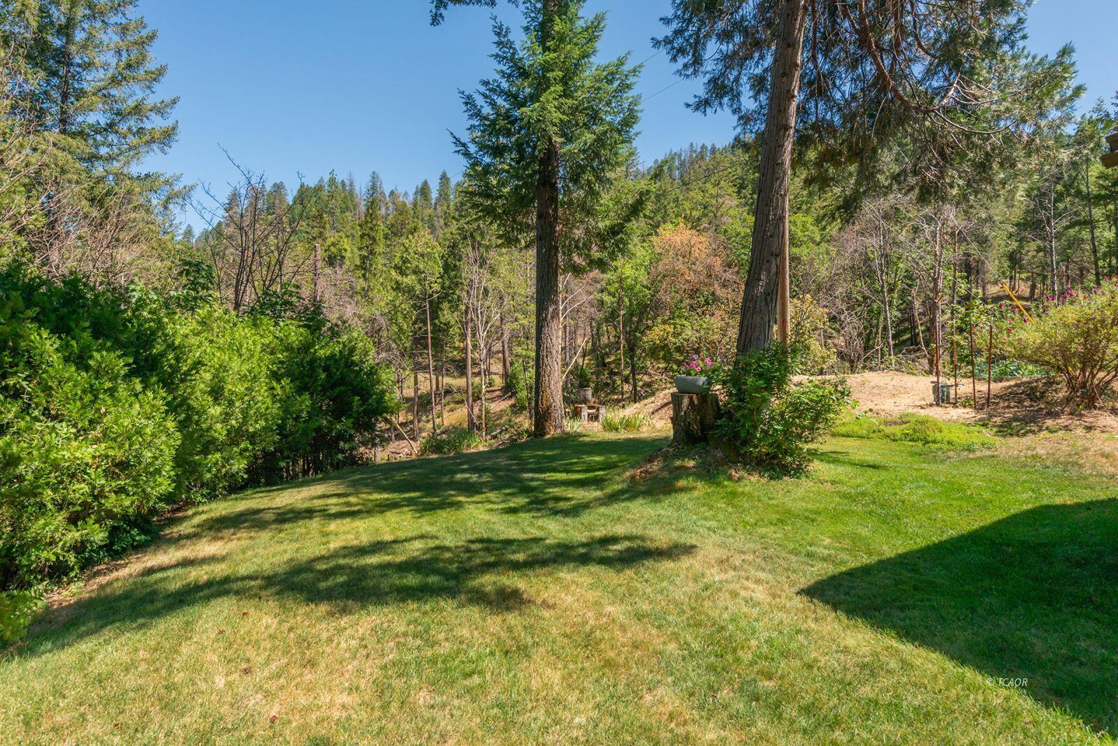 1004 Friedrich Road Burnt Ranch, CA 95527 - Photo 47 of 49 48_2097428_lg