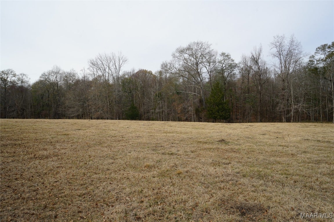 2434 Peake Road Ramer, AL 36069 - Photo 18 of 24 Gallery Image 18