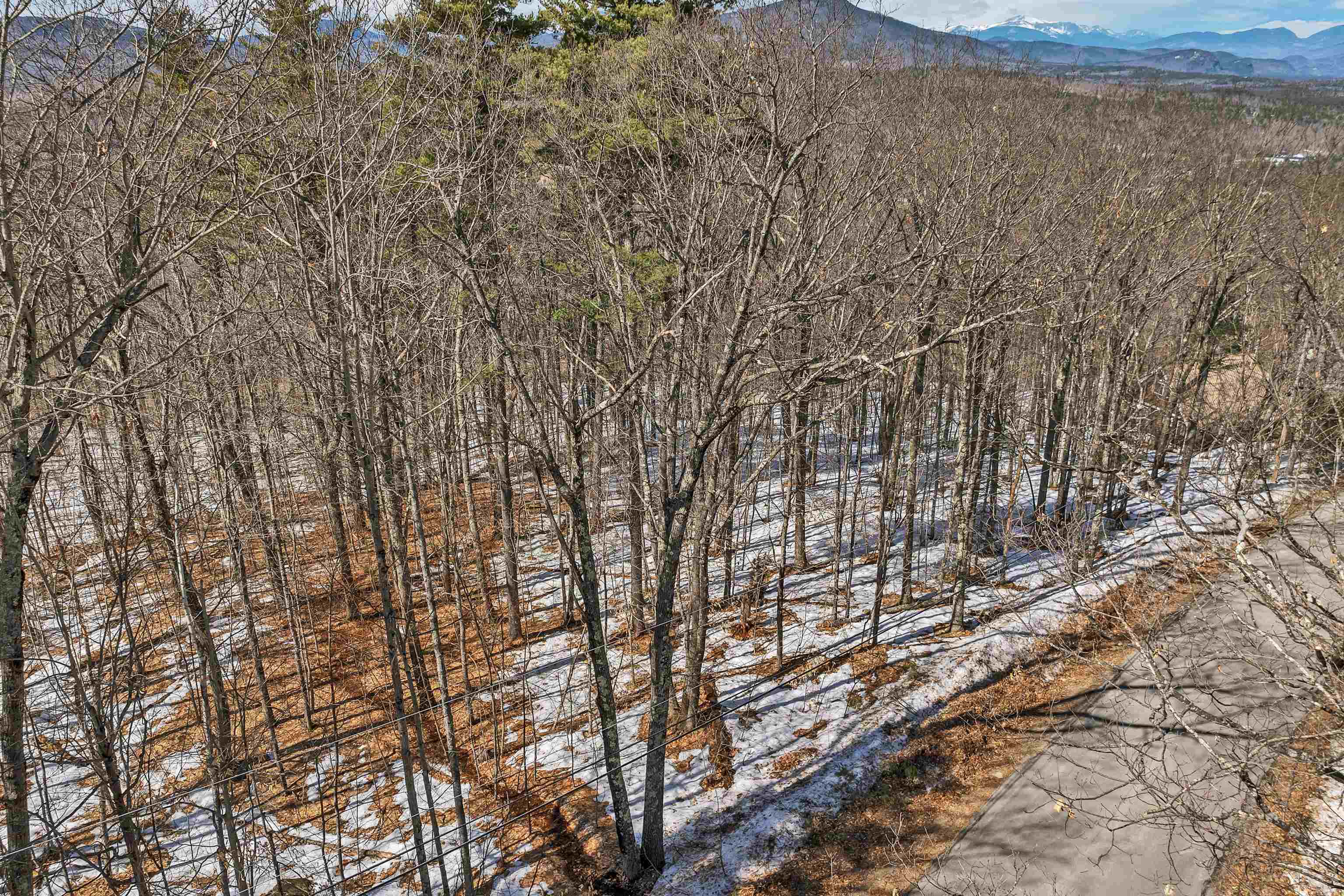 15 Klausen Road Madison, NH 03849 - Photo 42 of 50