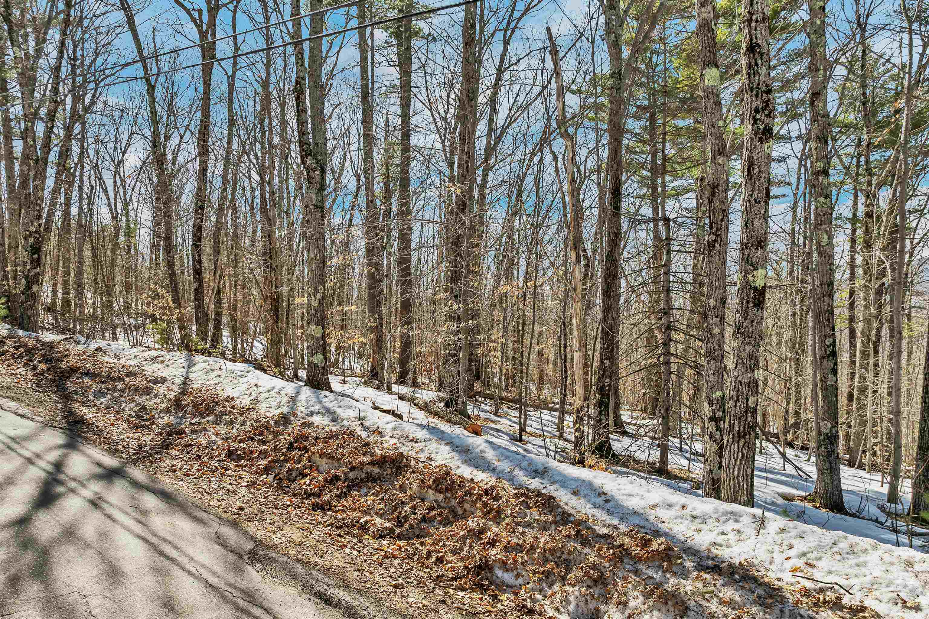 15 Klausen Road Madison, NH 03849 - Photo 51 of 51