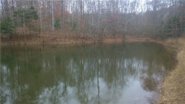 1104 Promise Land Road Charlotte, TN 37036 - Photo 20 of 20 Large pond on property.