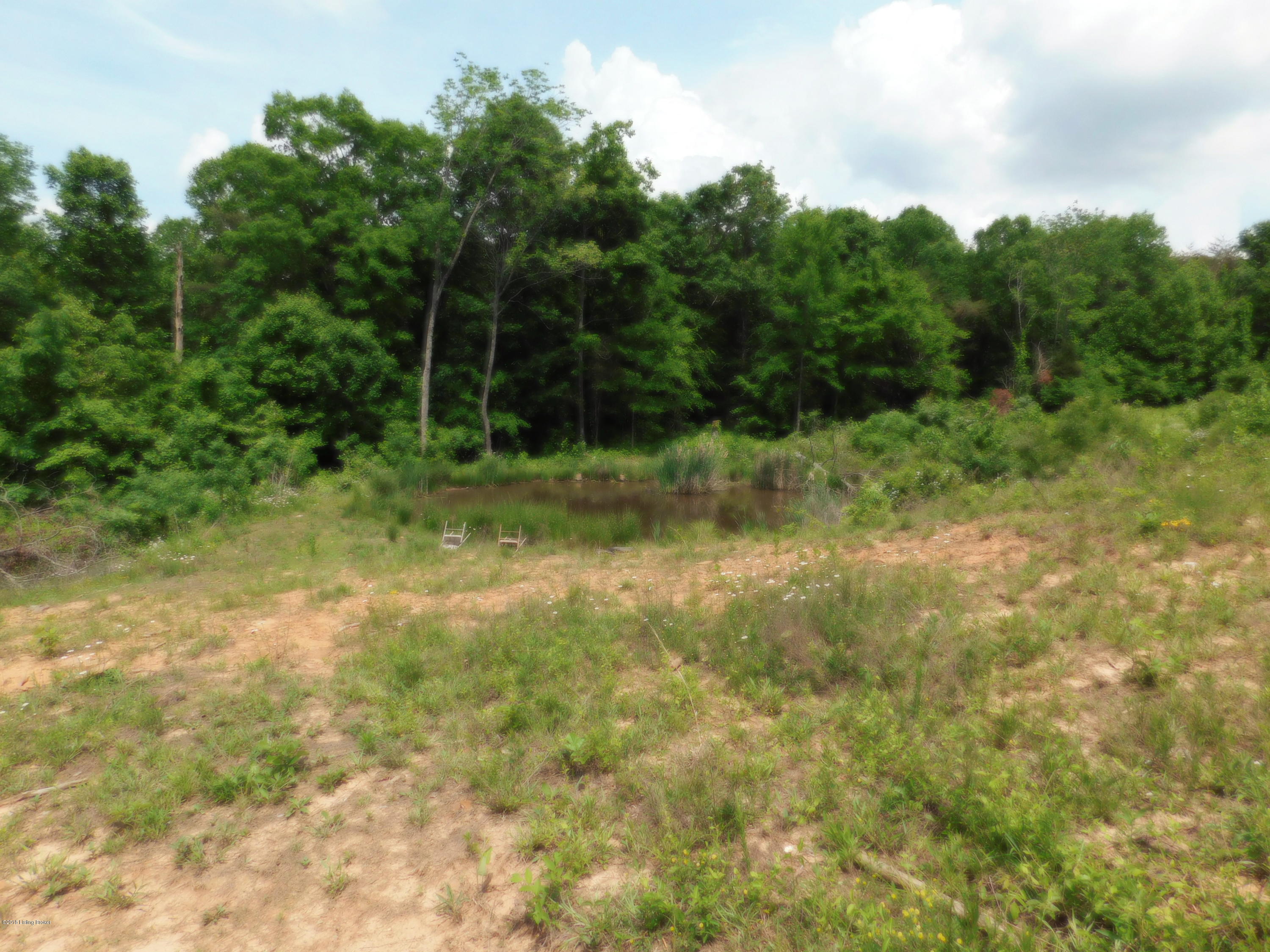 192 Mountain View Cir Road Falls Of Rough, KY 40119 - Photo 7 of 15 DSCN0106