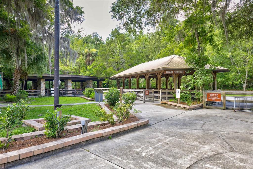 4586 Flambeau Loop Homosassa, FL 34448 - Photo 73 of 80