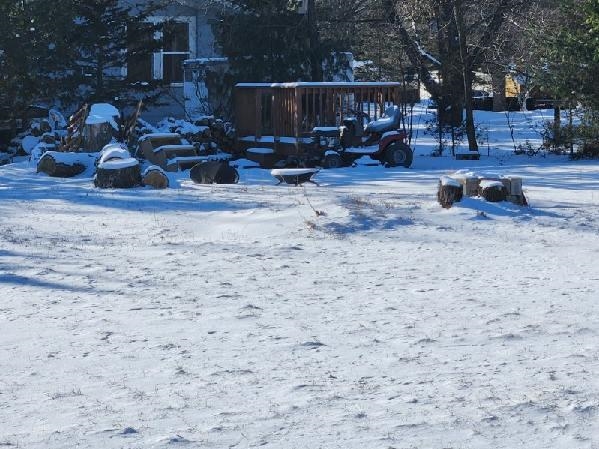 551 West Liberty Street Adams, WI 53910 - Photo 12 of 16