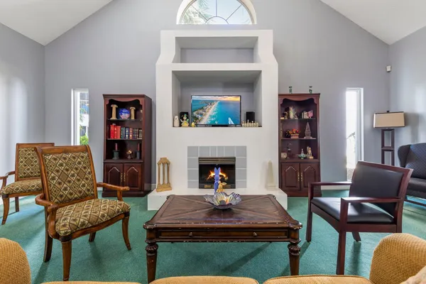 a living room with furniture a rug and a fireplace