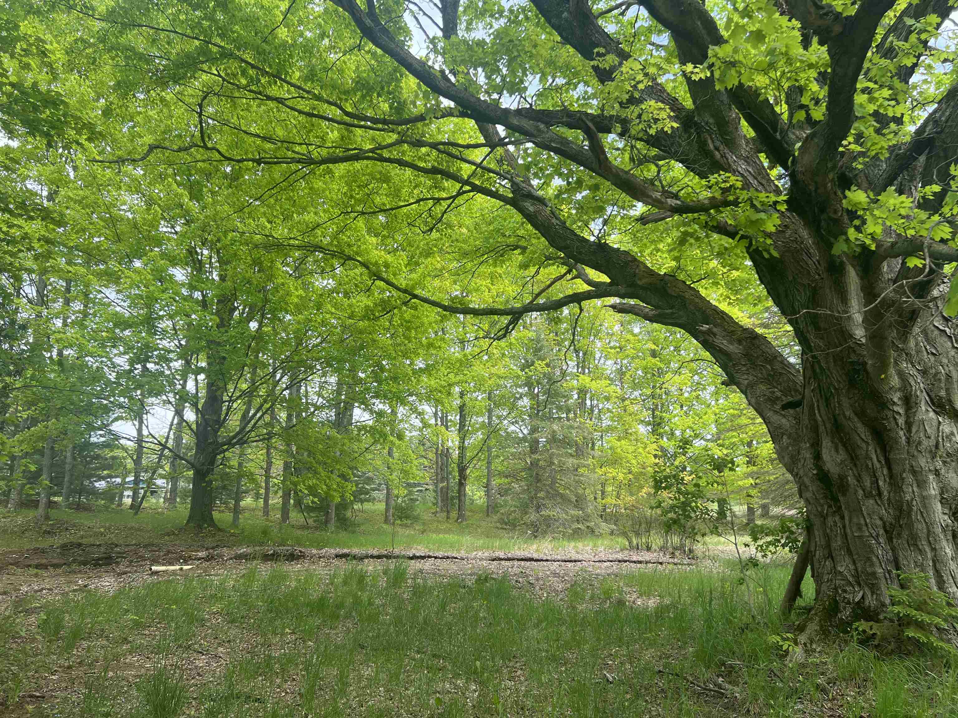 8713 Kingsley Road Kingsley, MI 49649 - Photo 15 of 19