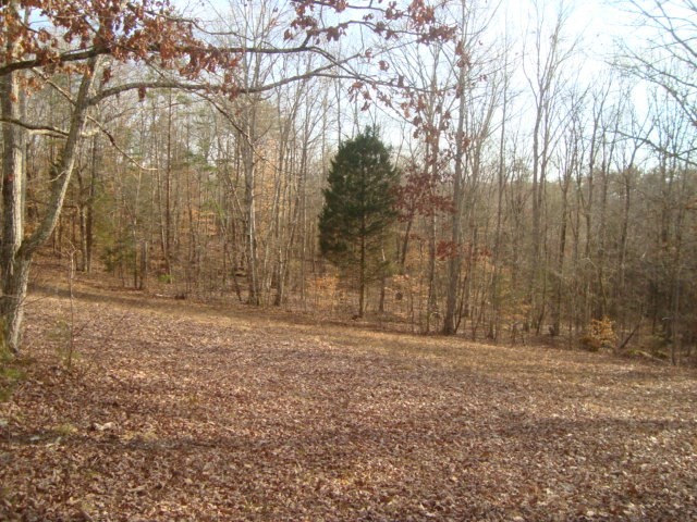 320 Clayton Wooten Lane Decatur, TN 37322 - Photo 6 of 8 Gallery Image 6