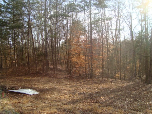 320 Clayton Wooten Lane Decatur, TN 37322 - Photo 7 of 8 Gallery Image 7