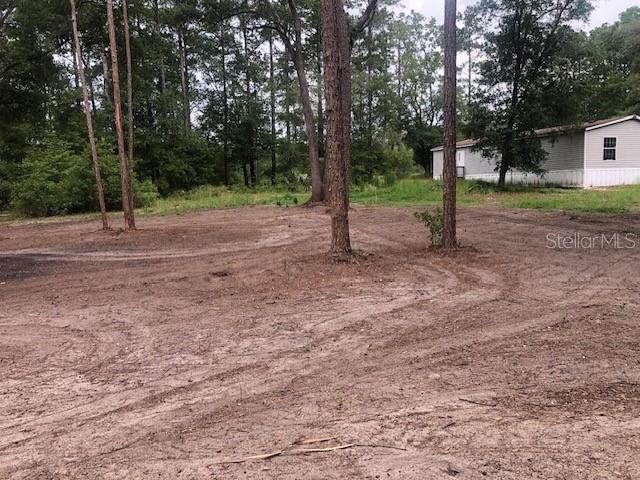 10555 Northeast 152 Place Fort McCoy, FL 32134 - Photo 45 of 49