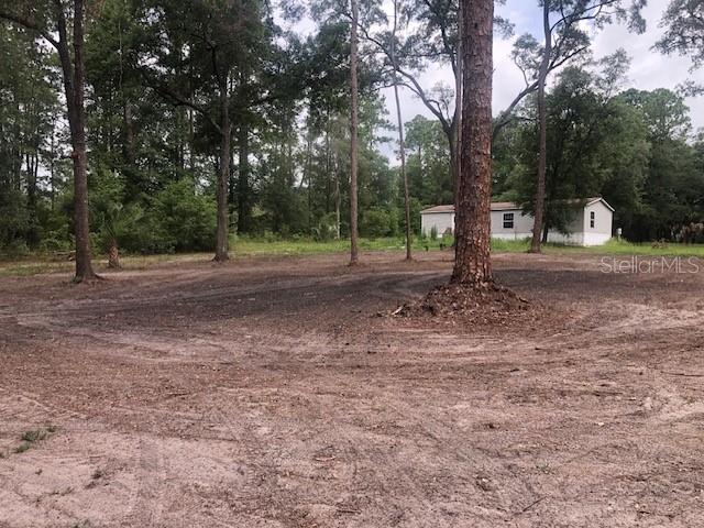 10555 Northeast 152 Place Fort McCoy, FL 32134 - Photo 46 of 49