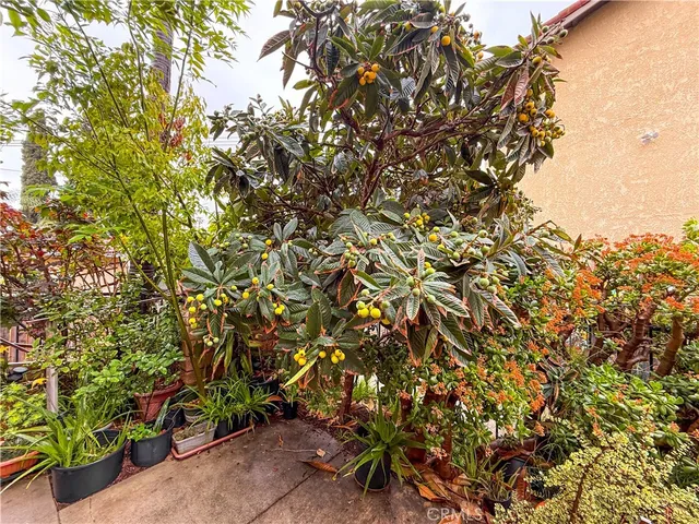 a view of a street with cars