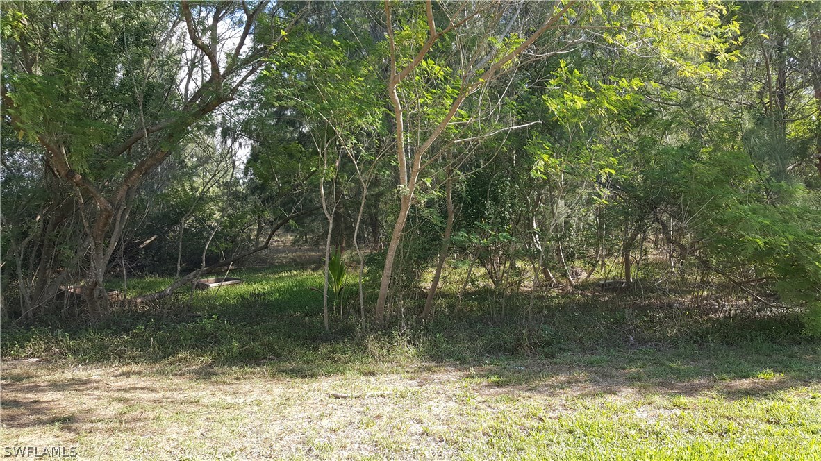 3829 Schoolhouse Road East, Unit 3 Fort Myers, FL 33916 - Photo 17 of 18 a view of backyard with green space