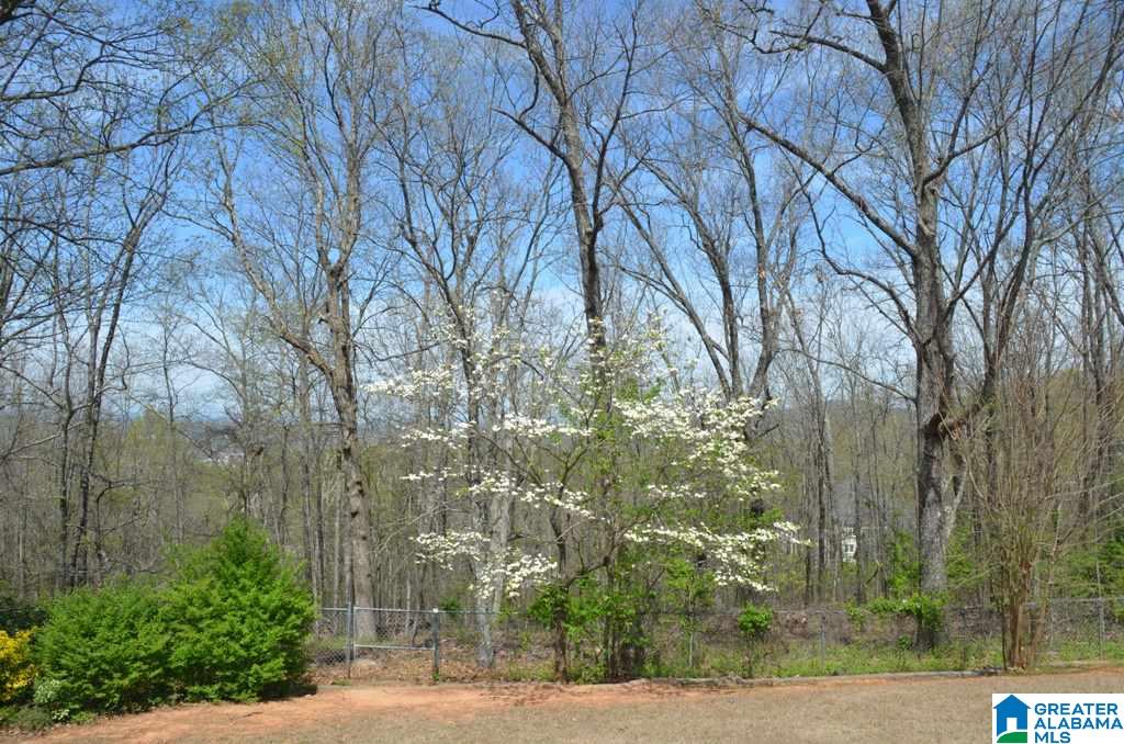 708 Hillyer High Road Anniston, AL 36207 - Photo 41 of 45