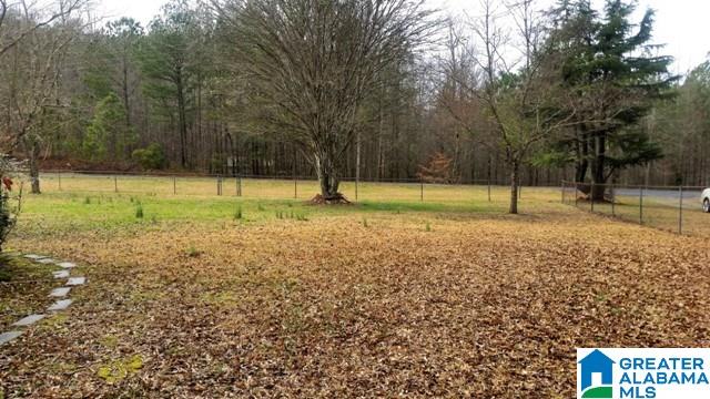 5489 Highway 9 Heflin, AL 36264 - Photo 36 of 50