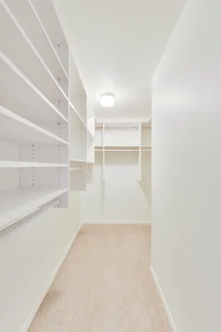 a view of an empty walk in closet