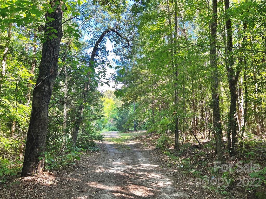 1955 Connor Road Chester, SC 29706 - Photo 1 of 6 a view of a yard with a tree