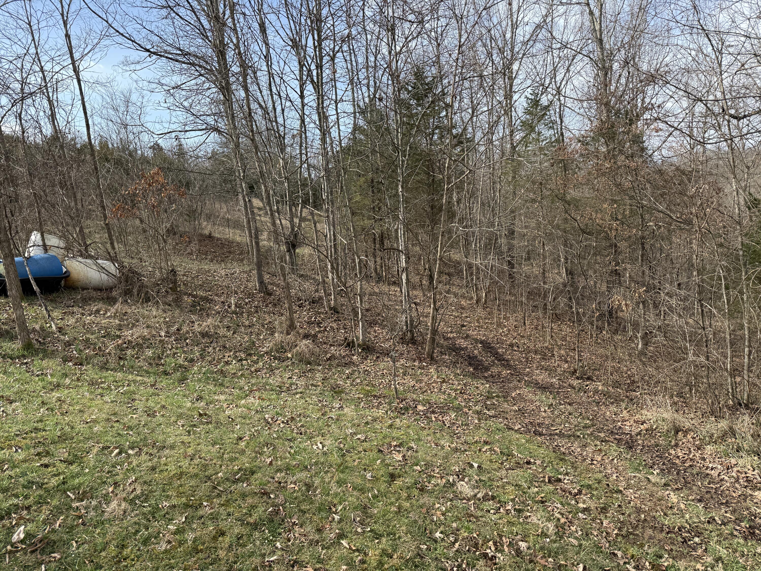0 Mattox Road Falmouth, KY 41040 - Photo 5 of 19