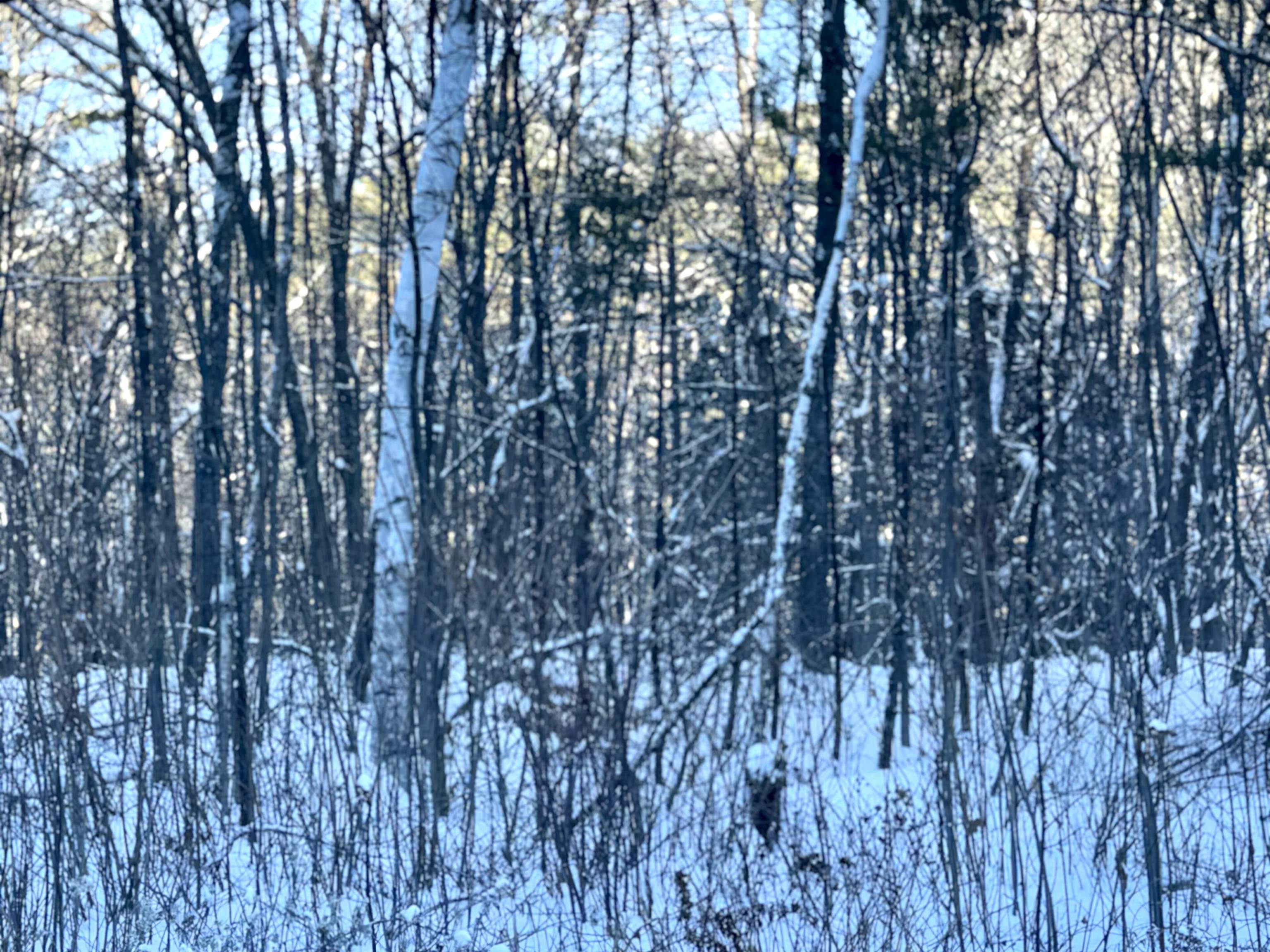 302 Us Route, Unit 1 2 Bartlett, NH 03812 - Photo 20 of 20