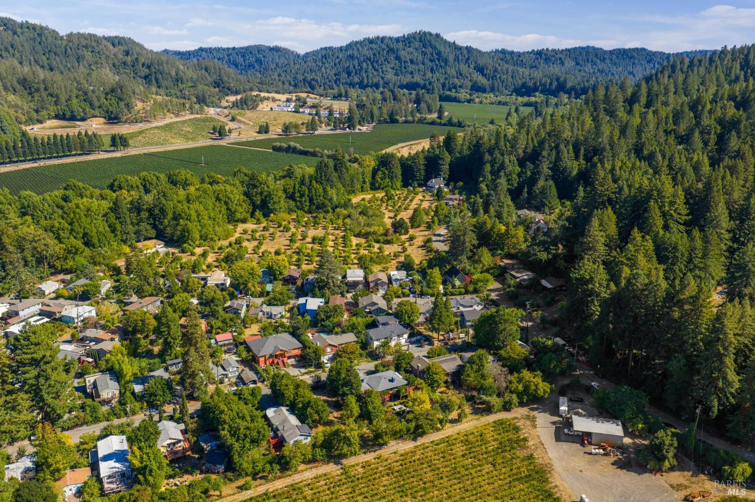 14595 Drake Road Guerneville, CA 95446 - Photo 19 of 25 a view of a lush green field with mountains in the background