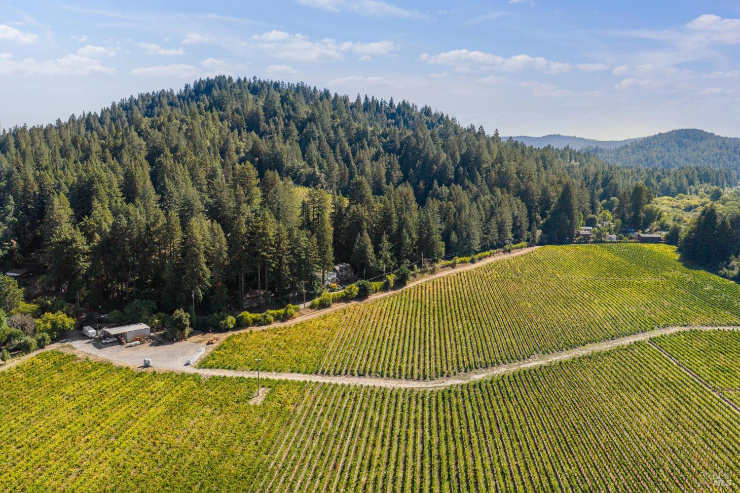 14595 Drake Road Guerneville, CA 95446 - Photo 20 of 25 a view of a swimming pool with a yard and mountain view