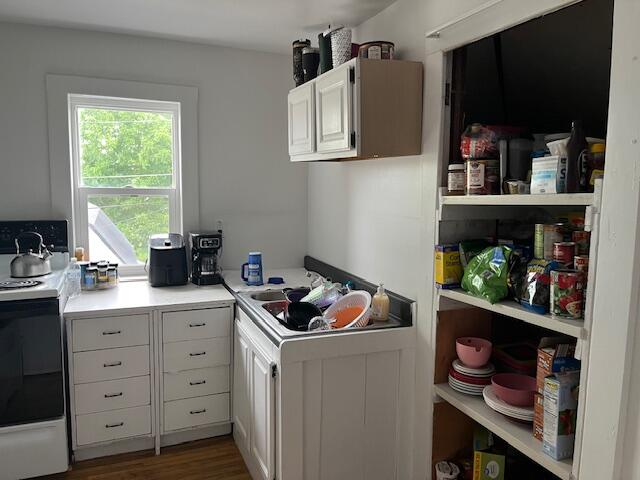 426 South Chestnut Street Reed City, MI 49677 - Photo 20 of 31 IMG_6870