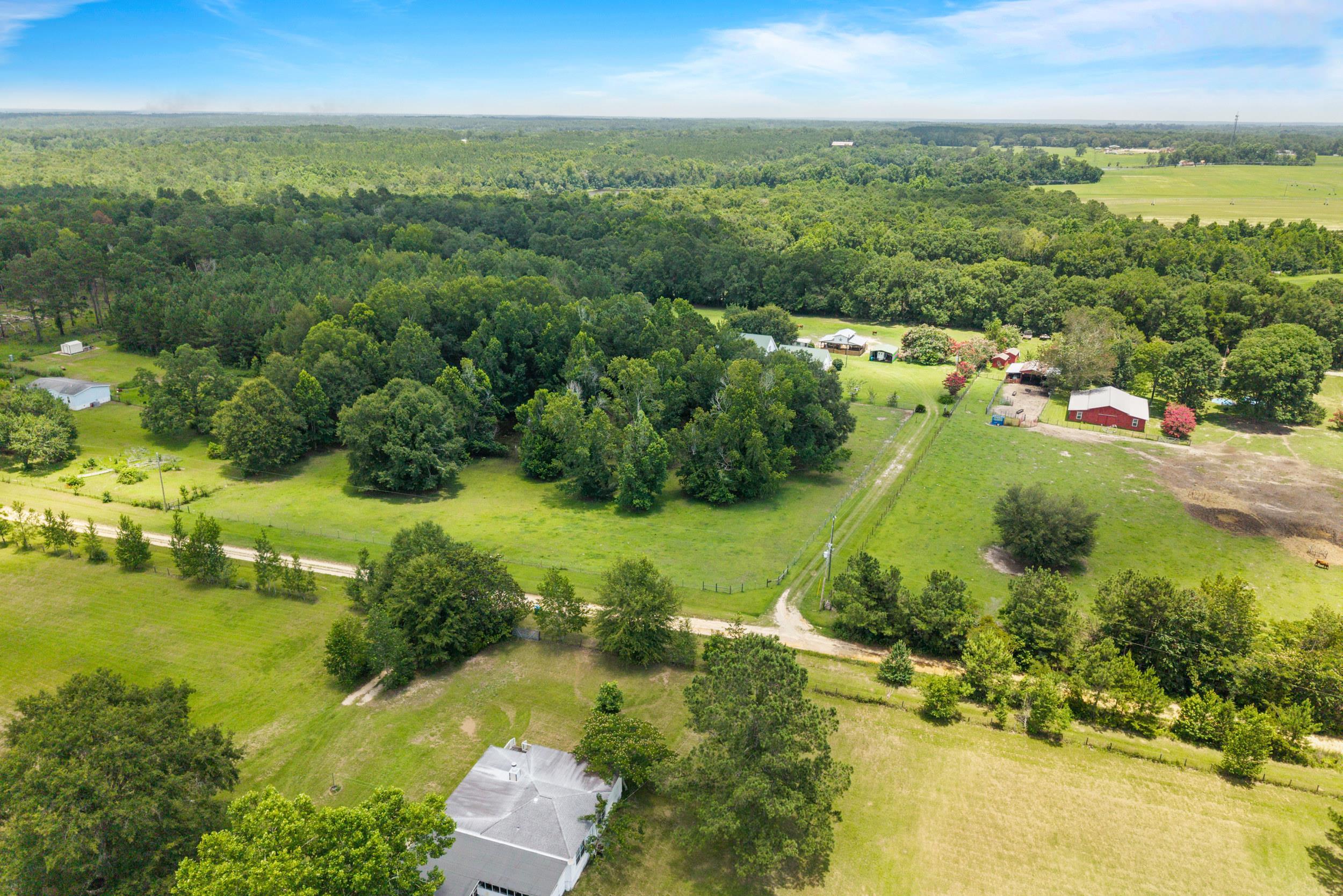 546 Backloop Road Havana, FL 32333 - Photo 60 of 67