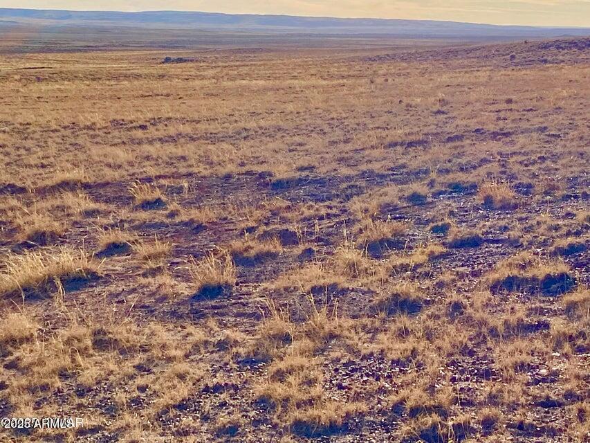 Carrizo Carrizo Ranch St. Johns, AZ 85936 - Photo 11 of 29 a view of an ocean